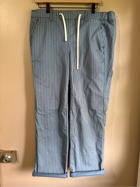Torrid Blue Pinstripe Drawstring Pants